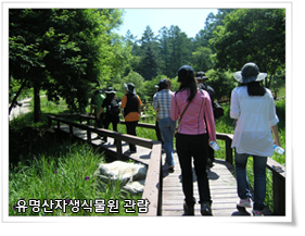 유명산자생식물원 관람