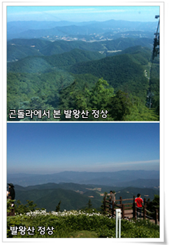 유명산자생식물원 관람