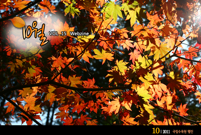 10월 VOL.15 WEBZINE 
 2011.10 국립수목원 웹진 