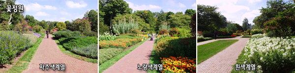 꽃정원-자주색계열,노랑색계열,흰색계열