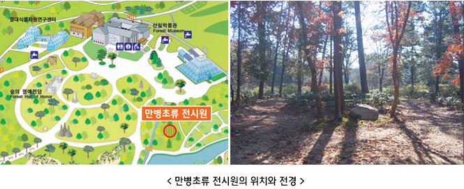 <만병초류 전시원의 위치와 전경 >
