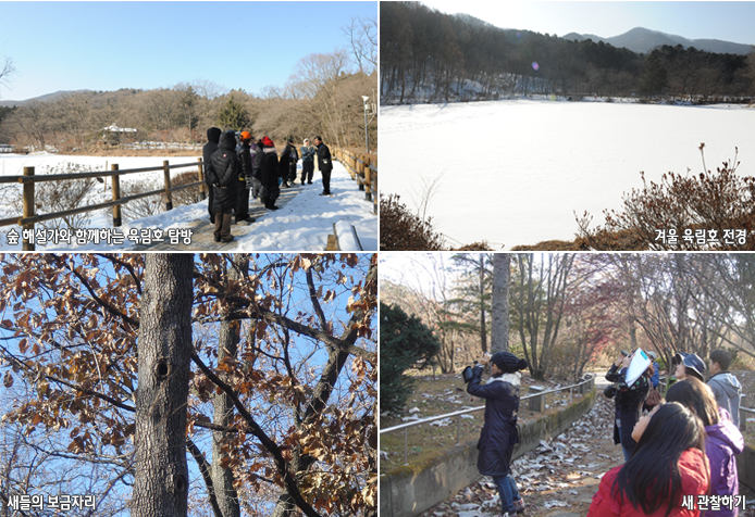 숲 해설가와 함께하는 육림호 탐방, 겨울 육림호 전경, 새들의 보금자리, 새 관찰하기 