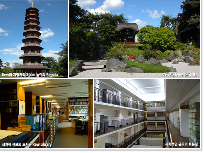  Kew의 자랑거리 850m 높이의 Pagoda , Zen Style의 일본식 정원 , 세계적 규모의 도서관 Kew Library , 세계적인 규모의 표본실
