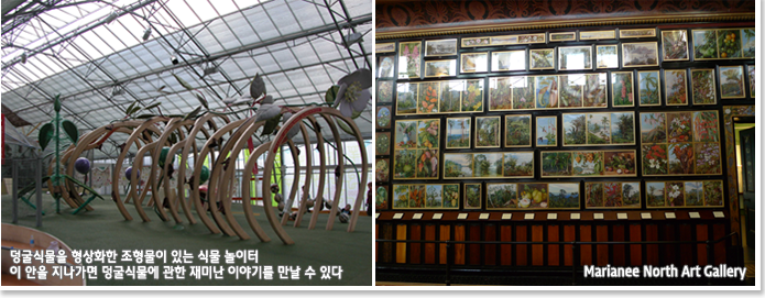 덩굴식물을 형상화한 조형물이 있는 식물 놀이터 이 안을 지나가면 덩굴식물에 관한 재미난 이야기를 만날 수 있다 ,Marianee North Art Gallery