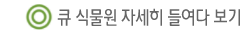 큐 식물원 자세히 들여다 보기