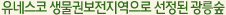 유네스코 생물권보전지역으로 선정된 광릉숲 
