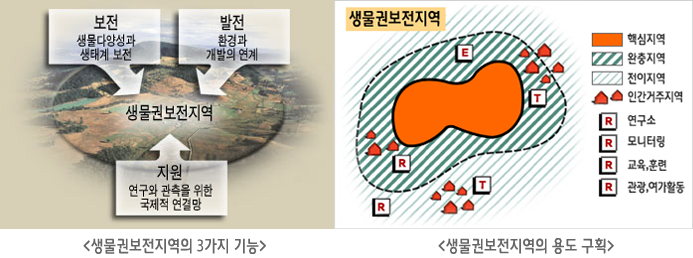 <생물권보전지역의 3가지 기능 >- 보전: 생물다양성과 생태계 보전, 발전-환경과 개발의 연계, 지원:연구와 관측을 위한 국제적 연결망, <생물권보전지역의 용도 구획 >