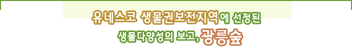 유네스코 생물권보전지역에 선정된 생물다양성의 보고, 광릉숲