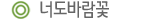 너도바람꽃
