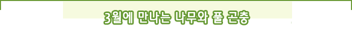 3월에 만나는 나무와 풀 곤충 