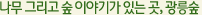 나무 그리고 숲 이야기가 있는 곳, 광릉숲'