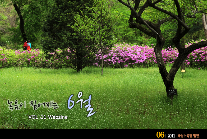 녹음이 짙어지는6월 VOL.11 WEBZINE 
 2011.6 국립수목원 웹진 