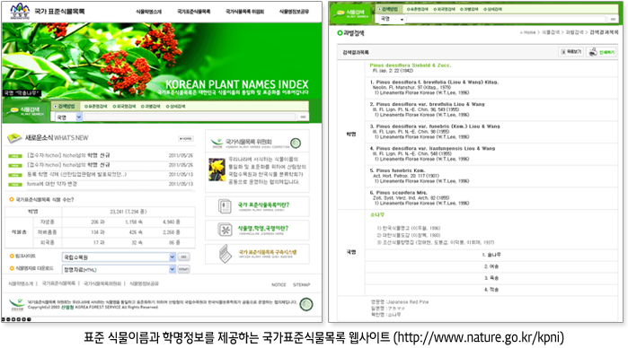 표준 식물이름과 학명정보를 제공하는 국가 표준식물목록 웹사이트 (http://www.nature.go.kr/kpni)