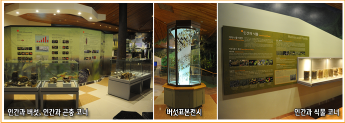 인간과 버섯, 인간과 곤충 코너, 버섯표본전시, 인간과 식물코너