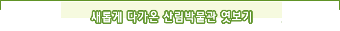 새롭게 다가온 산림박물관 엿보기