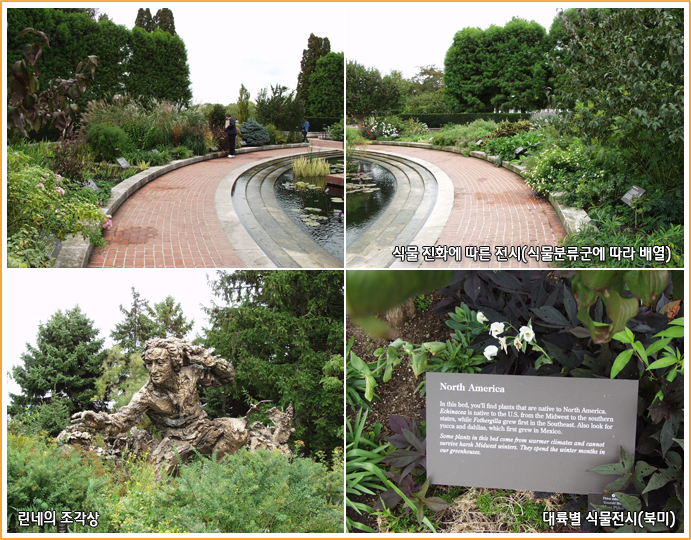 식물 진화에 따른 전시(식물분류군에 따라 배열), 린네의 조각상, 대륙별 식물전시(북미)