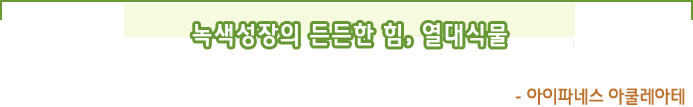 녹색성장의 든든한 힘,  열대식물- 아이파네스 아쿨레아테눔