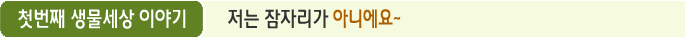 첫번째 생물세상 이야기 저는 잠자리가 아니에요~