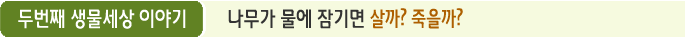두번째 생물세상 이야기 나무가 물에 잠기면 살까? 죽을까?