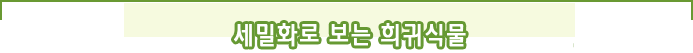 세밀화로 보는 희귀식물