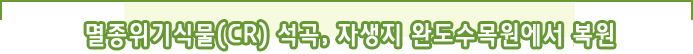 멸종위기식물(CR) 석곡, 자생지 완도수목원에서 복원