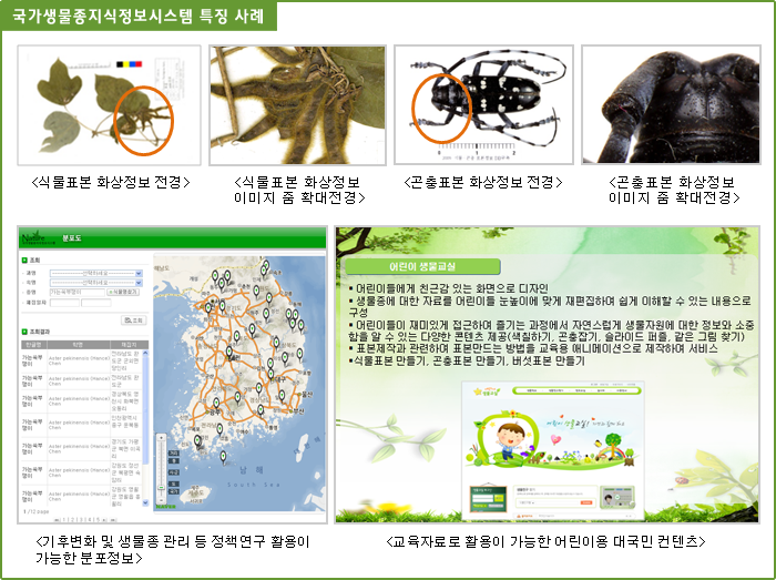 국가생물종지식정보시스템 특징 사례, <식물표본 화상정보 전경>, <식물표본 화상정보 이미지 줌 확대전경>,<곤충표본 화상정보 전경>,<곤충표본 화상정보 이미지 줌 확대 전경>,<기후변화 및 생물종 관리 등 정책연구 활용이 가능한 분포정보>,<교육자료로 활용이 가능한 어린이용 대국민 컨텐츠>