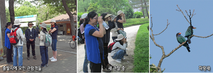 출발지에 모인 관람객들, 새 관찰 중, 파랑새