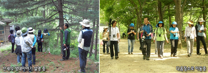 산새의 생태이야기 설명 중, 다음장소로 이동중