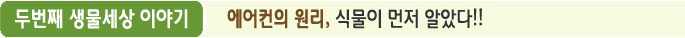 두번째 생물세상 이야기- 에어컨의 원리, 식물이 먼저 알았다!!
            