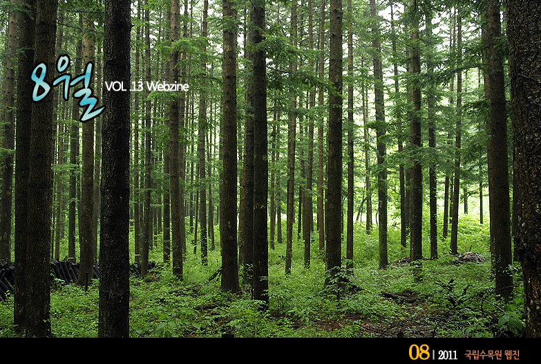 8월 VOL.13 WEBZINE 
 2011.08 국립수목원 웹진 