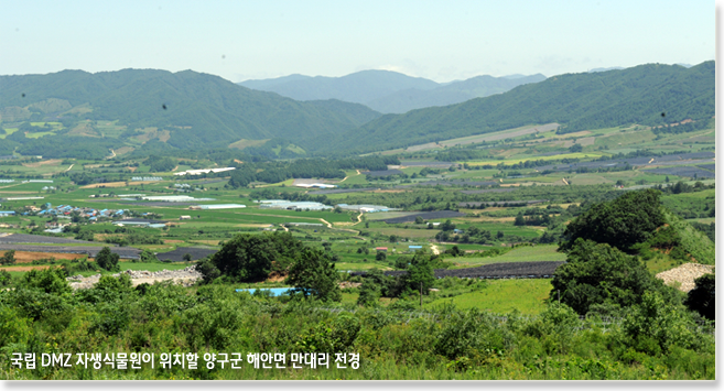 국립 DMZ 자생식물원이 위치할 양구군 해안면 만대리 전경