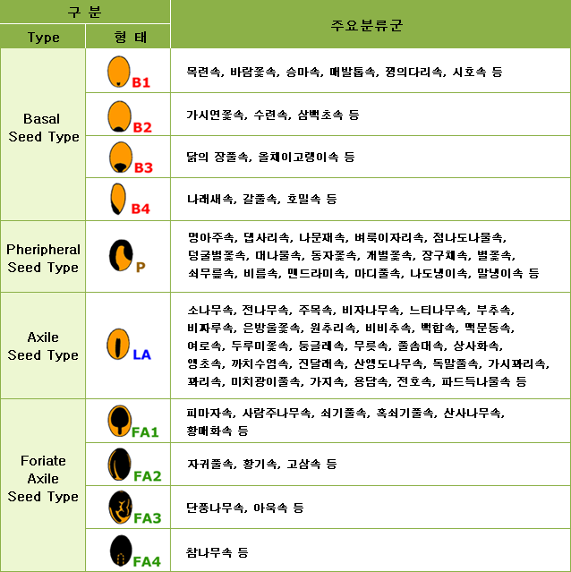 배와 배유의 형태에 따른 수집종자의 구분 표