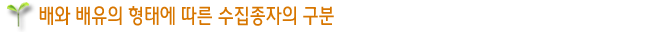배와 배유의 형태에 따른 수집종자의 구분