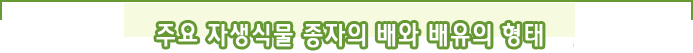 주요 자생식물 종자의 배와 배유의 형태
