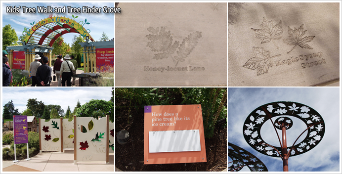 Kids' Tree Walk and Tree Finder Grove