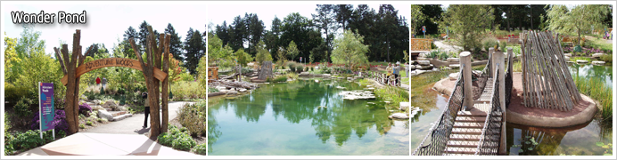 Wonder Pond