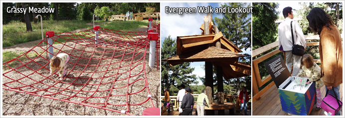 Grassy Meadow, Evergreen Walk and Lookou