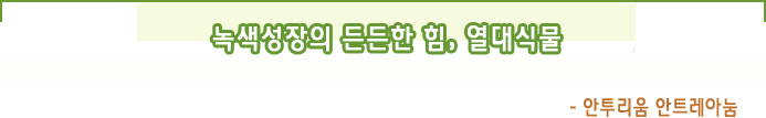 녹색성장의 든든한 힘,  열대식물- 안투리움 안드레아눔