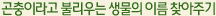 곤충이라고 불리우는 생물의 이름 찾아주기  