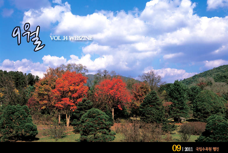 9월 VOL.17 WEBZINE 
 2011.9 국립수목원 웹진 