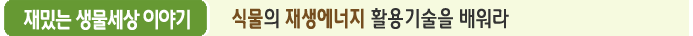 재밌는 생물세상 이야기 식물의 재생에너지 활용기술을 배워라