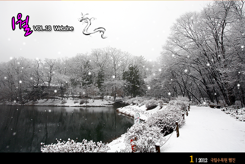 1월 VOL.18 WEBZINE 
 2012.1 국립수목원 웹진 