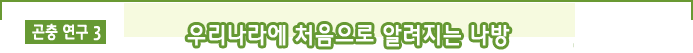 곤충연구 3 우리나라에 처음으로 알려지는 나방