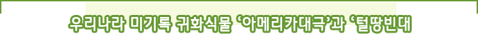우리나라 미기록 귀화식물 '아메리카대극'과' 털땅빈대'