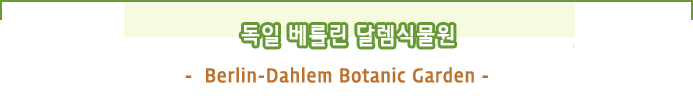 독일 베를린 달렘 식물원 -  Berlin-Dahlem Botanic Garden - 