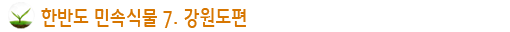 한반도 민속식물7.강원도편
