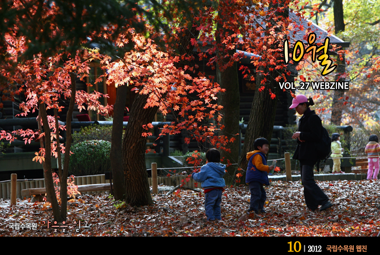 11월 VOL.28 WEBZINE 
국립수목원 가을을 싣고
2012.10국립수목원 웹진 