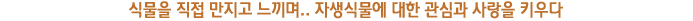 식물을 직접 만지고 느끼며.. 자생식물에 대한 관심과 사랑을 키우다.