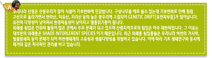 A6.우리나라 산림은 산봉우리가 많아 식물이 기후변화에 민감합니다. 구상나무를 예로 들수 있는데 기후변화로 인해 점점 고산으로 올라가면서 한라산, 덕유산, 지리산 등의 높은 봉우리에 고립되어 GENETIC DRIFT(유전자부동)가 일어납니다. 유전적 다양성이 낮아져서 환경적응성이 낮아지고 멸종위기종이 됩니다.  외래종 침입은 인위적 활동이 많은 곳에서 주로 문제가 되고 있으며 산림지역으로의 침입은 아주 제한적입니다. 그 이유는 대부분의 외래종은 SHADE INTORLERENT SPECIES 이기 때문입니다. 최근 외래종 침입종들은 우리나라 하천의 가시박,털물참새피 등이 문제가 되어 하천생태계의 고유성과 생물다양성을 위협하고 있습니다. 이에 따라 기초 생태연구와 동시에 제거와 같은 적극적인 관리를 하고 있습니다.  