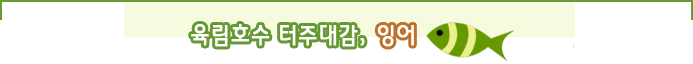 육림호수 터주대감, 잉어